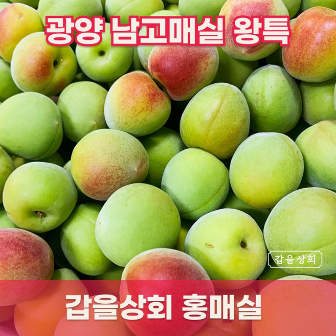 [갑을상회] 광양 홍매실 남고매실, 1개, 10kg 대