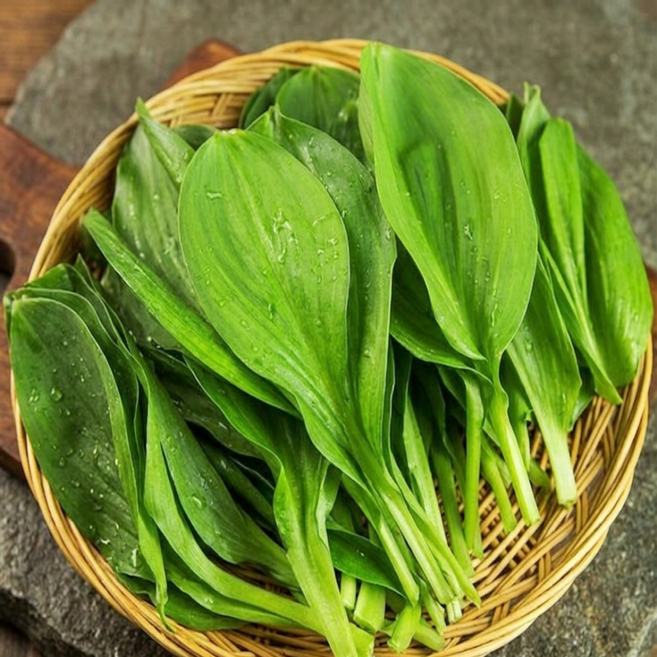 [타임특가] 채소농원 당일수확 명이나물, 1박스, 500g