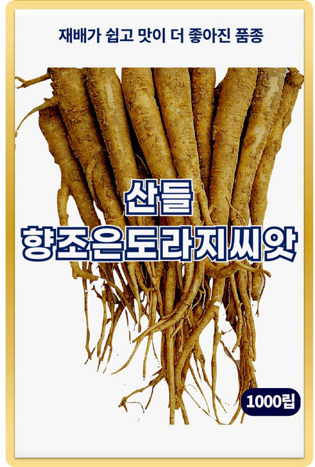 산들 향조은 도라지 씨앗 1000립 생육이 빠른 민속채소 도라지씨 종자, 2개