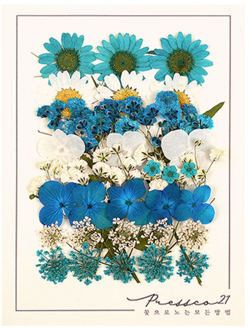 압화꽃 보존화 꽃송이 누름꽃 조화 만들기 압화재료 공예 프레스코21 종합팩 6000A, 7000C