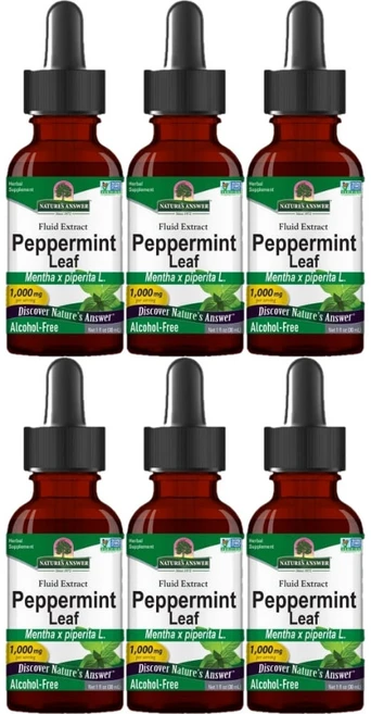 네이처스앤서 고흡수 페퍼민트 잎 1000mg 액상 액체, 30ml, 6개 - 쿠팡