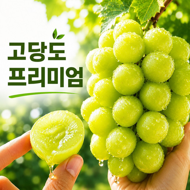 산지직송 고당도 프리미엄 샤인머스켓 청포도, 1박스, 750g(1송이 프리미엄)
