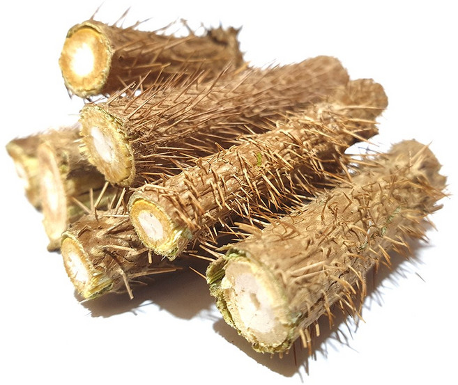 국산가시오가피 가시오가피나무 오가피 오가피나무 가시오가피차, 1개, 300g