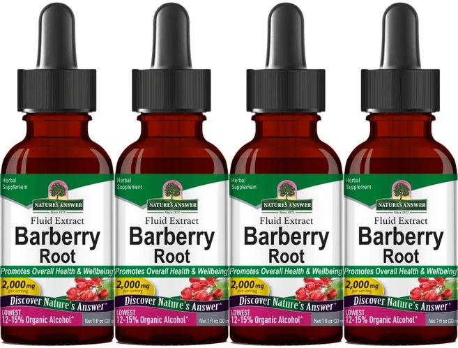 네이처스앤서 고흡수 매자나무 뿌리 2000mg 액상 액체, 4개, 30ml, 30ml - 쿠팡