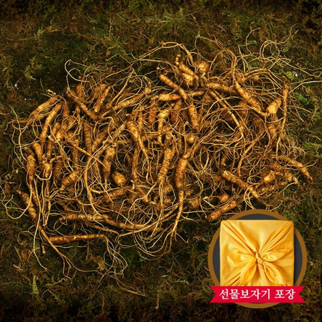 자연삼가 강원도 토종 산양삼 실속형 5~6년근 60-90뿌리, 1개, 100g