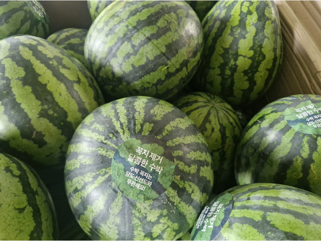 유명산지 직송 수박, 1개, 3~4kg