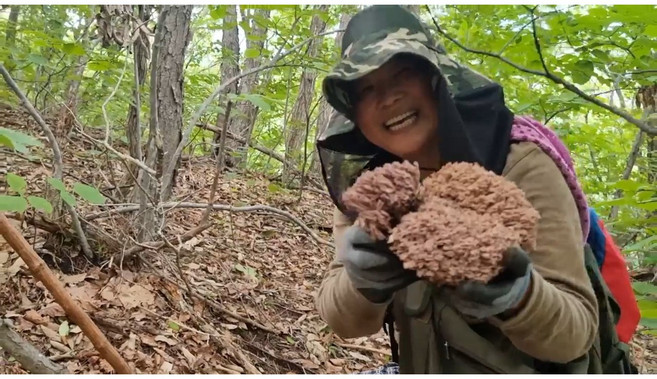 3위 - 26년 염장싸리버섯 경북 영양군에서채취, 1개, 1kg