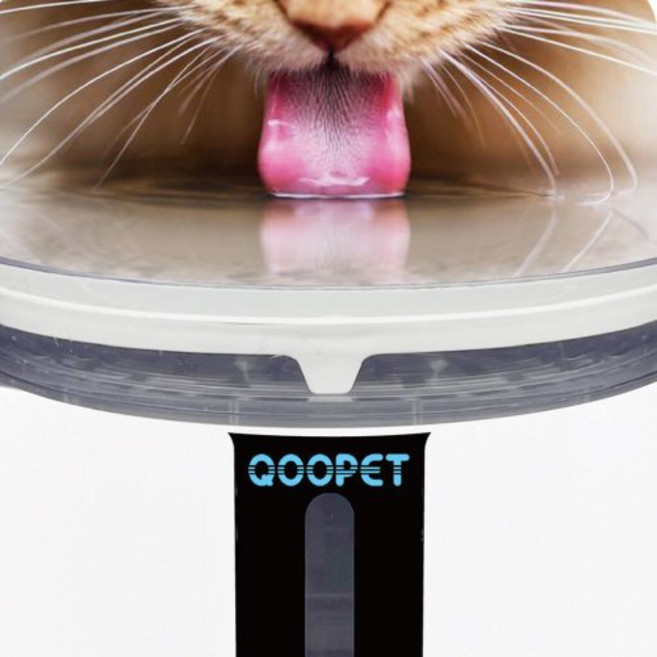 QOOPET 3代寵物智能飲水機 Wi-Fi無線水泵, 1個