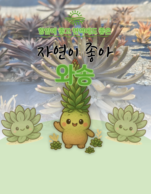 무농약 청정 생와송 3kg 5kg, 1kg, 1개