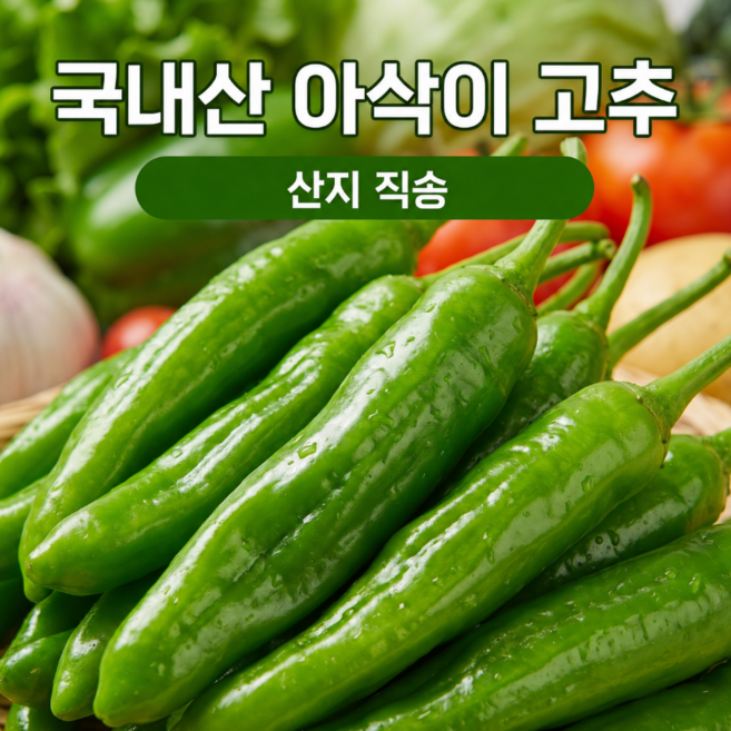 국내산 신선 아삭이 고추 오이고추, 1박스, 2kg