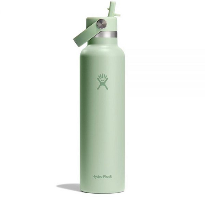 하이드로 플라스크 스탠다드 플렉스 스트로캡 텀블러 710ml 블랙 136247, 24 Oz, ALOE