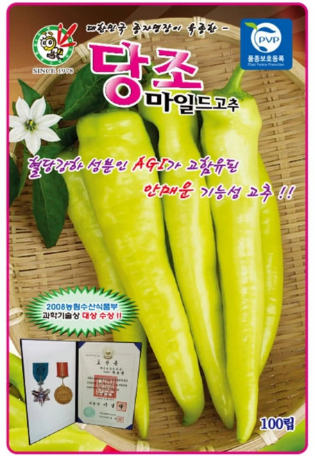 [2026년] 당조고추 씨앗 100립 당조고추 종자, 1개