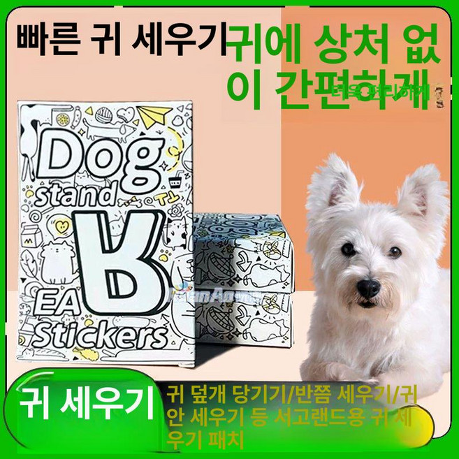 강아지 귀 교정 스티커 도구 반려견 누운귀 테이프 용품 동물 도베르만 수직 애완견 단일 항목