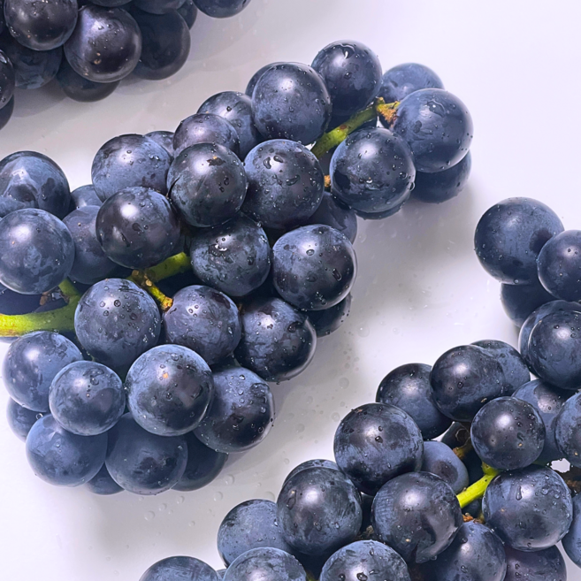 18brix 고당도 캠벨 켐벨 세레단포도, 1개, 특품 1kg(4-5수)