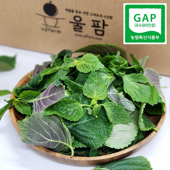 GAP 밀양 깻잎순 어린 깨순 생 깻순, 1개, 500g