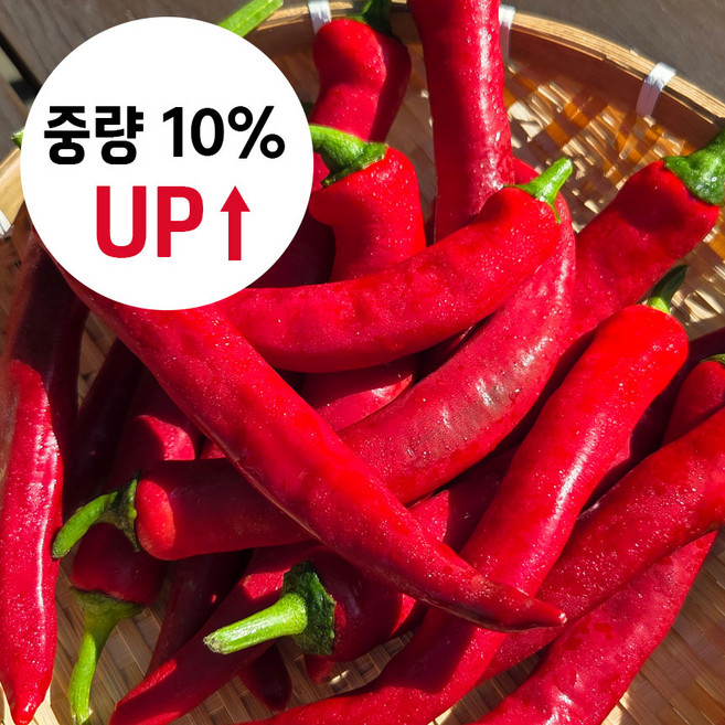 중량 10% UP 산지직송 국내산 홍고추 1kg 서산자연농원, 1개