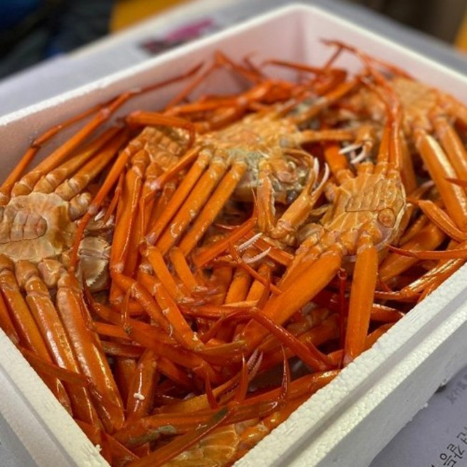 [선주직송] 포항 구룡포 자숙 홍게 실속형 고급형 박달형 3kg 8-12마리, 1박스, 실속형 2.5kg (5-9미)