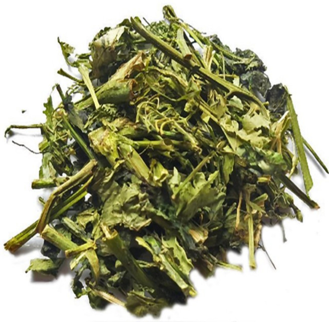 까마중 자연산 특품 300g/동의보감촌 지리산 용규(지리산한방식품), 1개, 300g