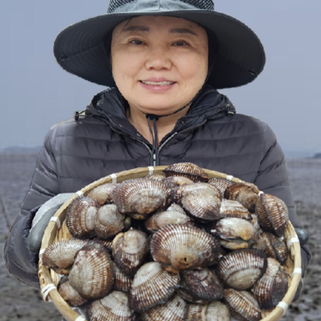 [상위1%] 산지 직송 국내산 벌교 피꼬막 피조개 새꼬막, 1개, 피꼬막2kg(40미내외)