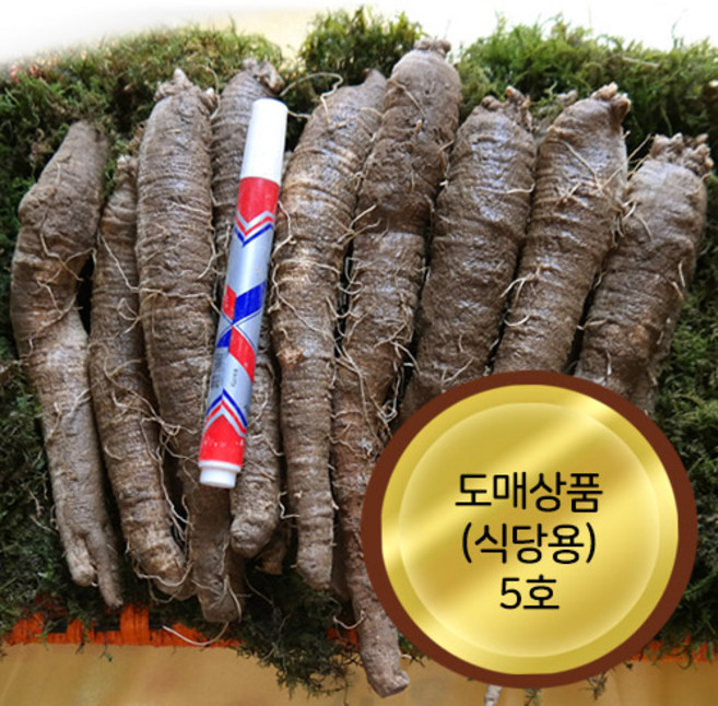 25년 추석 햇더덕 수확 가정용 5호(1kg) 어사매횡성더덕영농조합법인, 1박스, 1kg