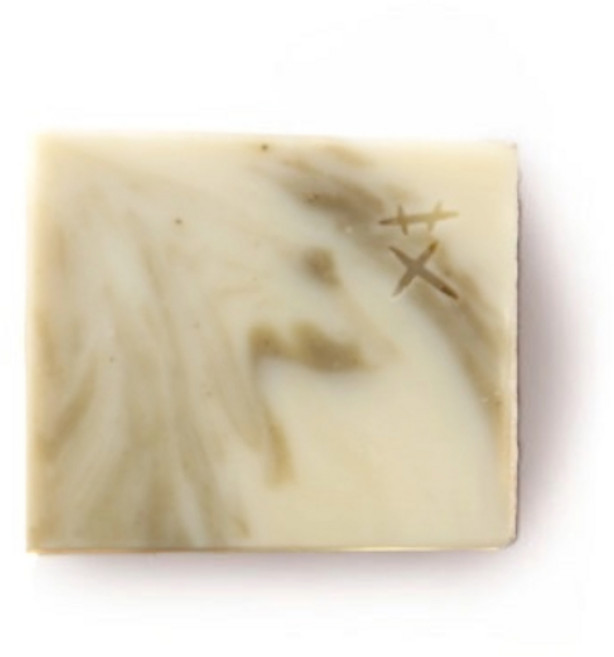 TAKE CARE 艾草平安皂, 100g, 1個
