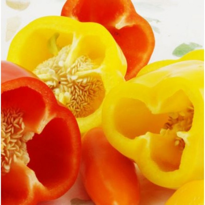 파프리카 추출물(Paprika Ext.), 50ml, 1개