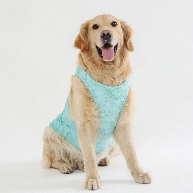 큐앤캐롯 중대형견 자외선차단 메쉬 민소매티, 민트, 1개