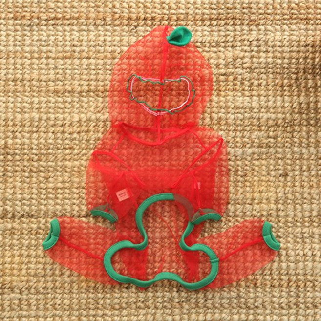 강아지 해충방지옷 후르츠 메쉬 올인원 진드기 버그가드, 1개, 레드