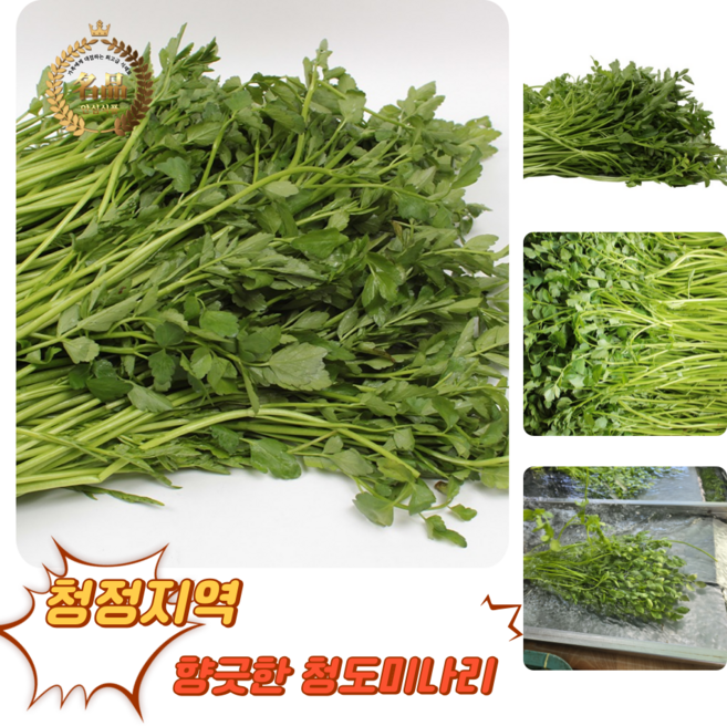 [굿피플] 청도미나리 한재미나리 국내산미나리 미나리 청도 [청도미나리], 1박스, 1kg