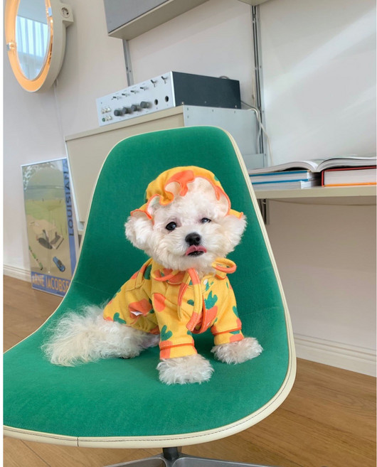 Neirny 강아지 실내복봄 티셔츠 가을 러블리 당근 잠옷 세트 강아지 홈웨어 애견 의류 모자 세트, 오렌지, 1개