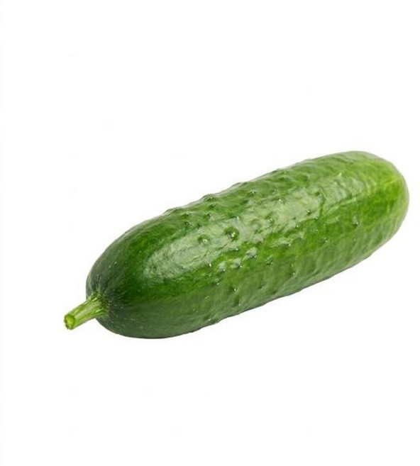 국내산 아삭한 미니오이 1KG (20개 내외), 1박스, 500g