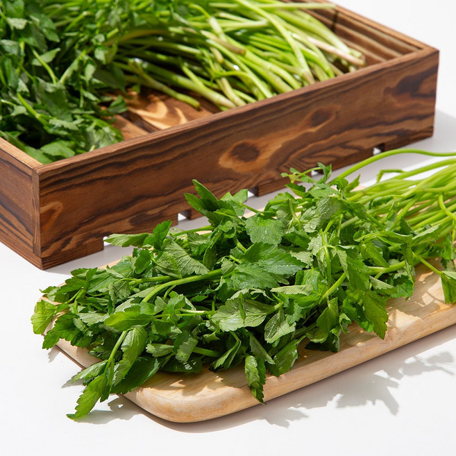 [미식한가] 제철의맛 향긋한 국내산 돌미나리, 1kg, 1박스