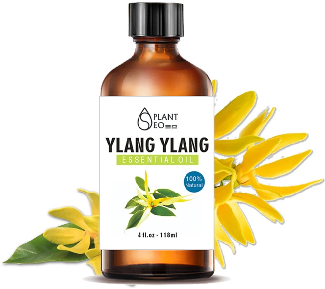 닥터월드 뷰티 아로마 에센셜오일 118ml 대용량, 뷰티 일랑일랑 에센셜오일 118ml - 쿠팡