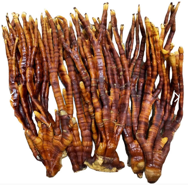 사슴 뿔을 닮은 녹각영지버섯 500g x 1봉(국내산), 1개