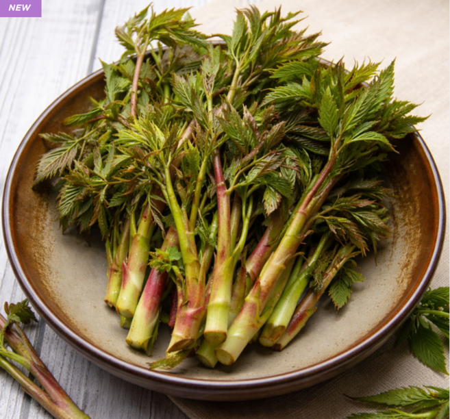 1Kg 500g 눈개승마 강원도 홍천 삼나물, 1박스