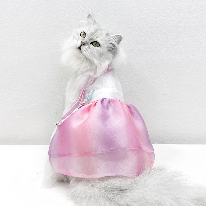 호나미네 고양이한복 강아지한복 수채화 노방 공주 한복, 1개, 핑크