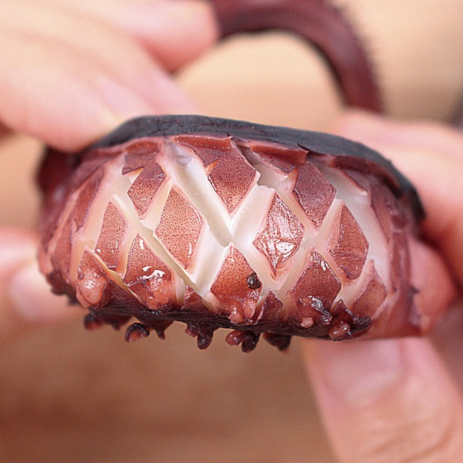 서호건어물 통영 서호시장 가문어 통족 200g, 1개