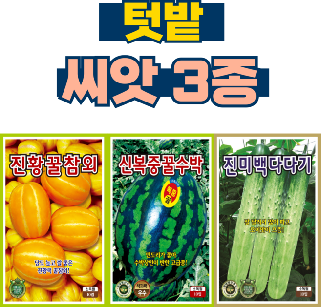채소씨앗 3종 참외씨앗+수박씨앗+오이씨앗 과일 텃밭 씨앗, 1개
