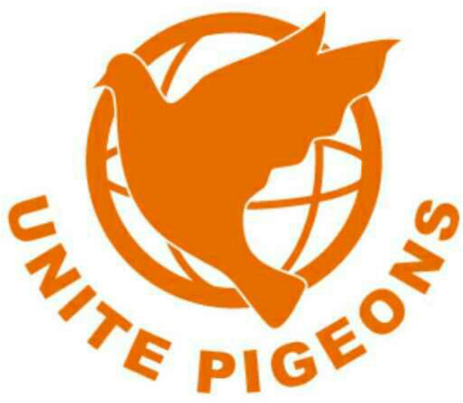 聯白鴿 888 防水洗衣精 台灣精品 防水配方 持久乾爽, 1個