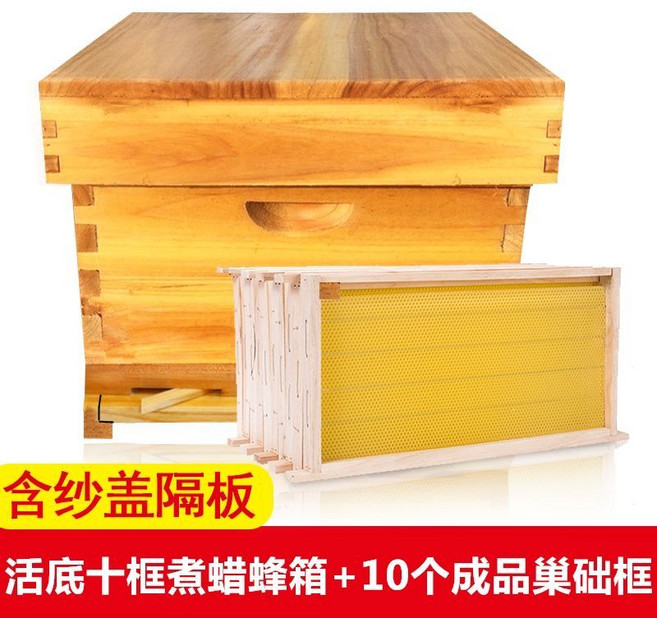 全杉木十框蜂箱 煮蠟浸蠟平箱 巢框 養蜂工具, 通用