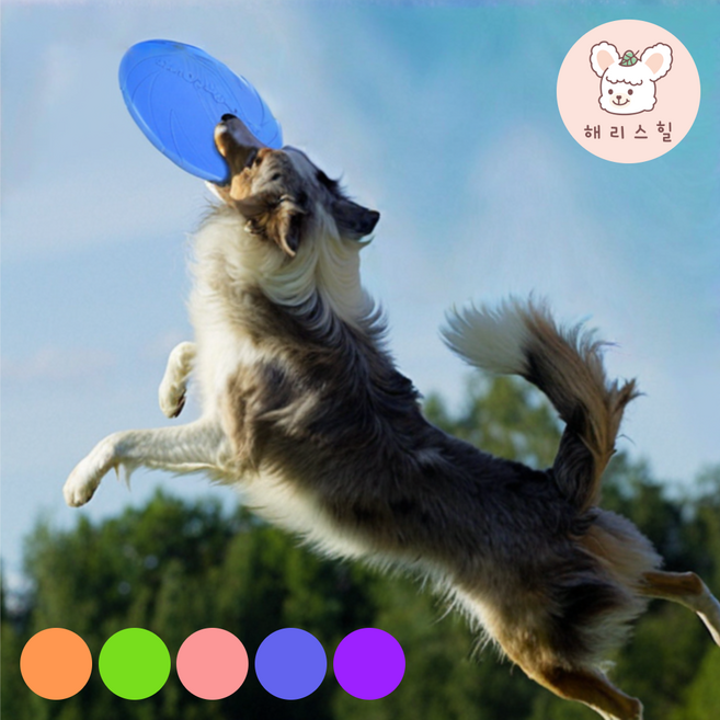 해리스힐 강아지 원반 말랑말랑 연습용 프리스비, 1개, 그린