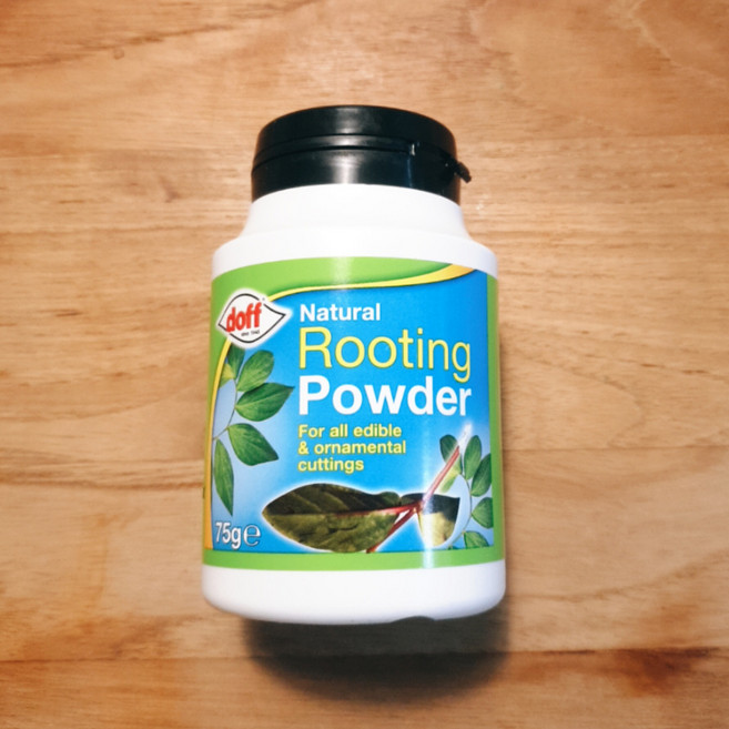 doff 내추럴 루팅파우더 뿌리발근제, 75g, 1개