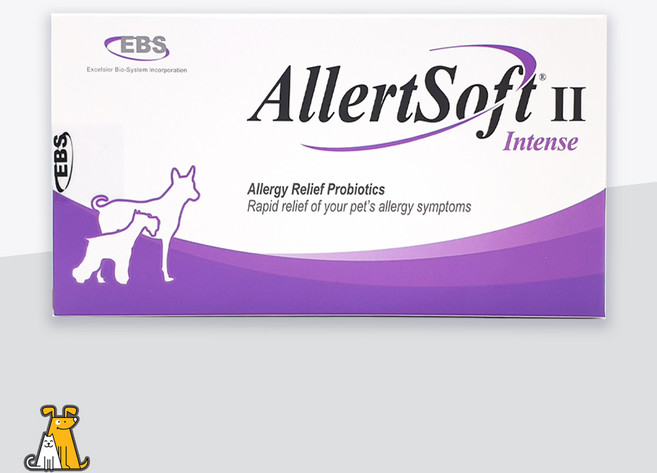알러소프트2 인텐스 20캡슐 강아지고양이 면역 알러지, 20정, 1개