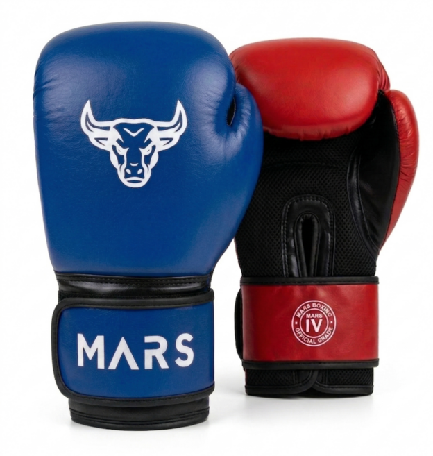 복싱 글러브 권투 스파링 남녀 공용, 1세트, 플라즈마(레드,블루)