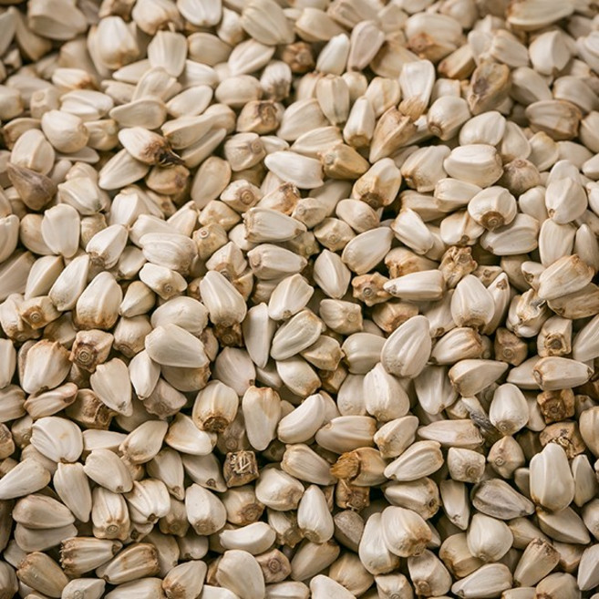 한가람건강원 국산 홍화자 대용량 100% 효능 약재 약초 600g, 1개