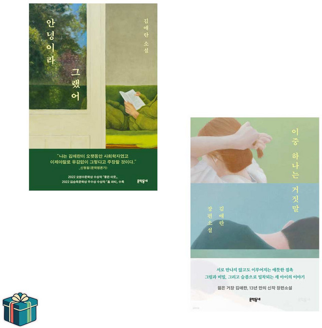 안녕이라 그랬어 + 이중 하나는 거짓말 전2권 세트(사은품증정) 김애란 장편소설 베스트셀러, 선택