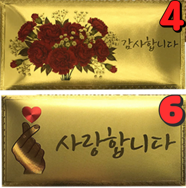 굿라이프 부모님 용돈봉투 카네이션 현금봉투 10장, 부모님봉투, 10개