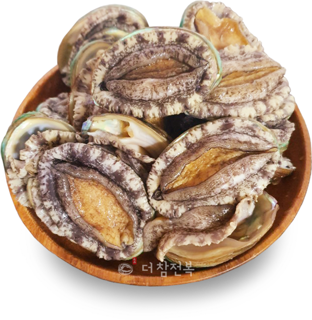 더참전복 완도(노화도) 전복 20-22미, 1박스, 1kg