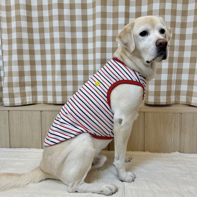 도기스타 강아지옷 깜찍포인트 민소매 나시 순면 티셔츠 소형 중형견 대형견옷, 1개, 레드