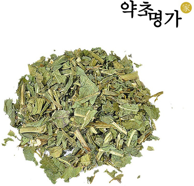 약초명가 국내산 씀바귀잎 300g, 1개